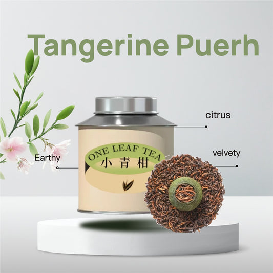 Tangerine Puerh - 2024 Yunnan Aged Ripened Tea Gift Set